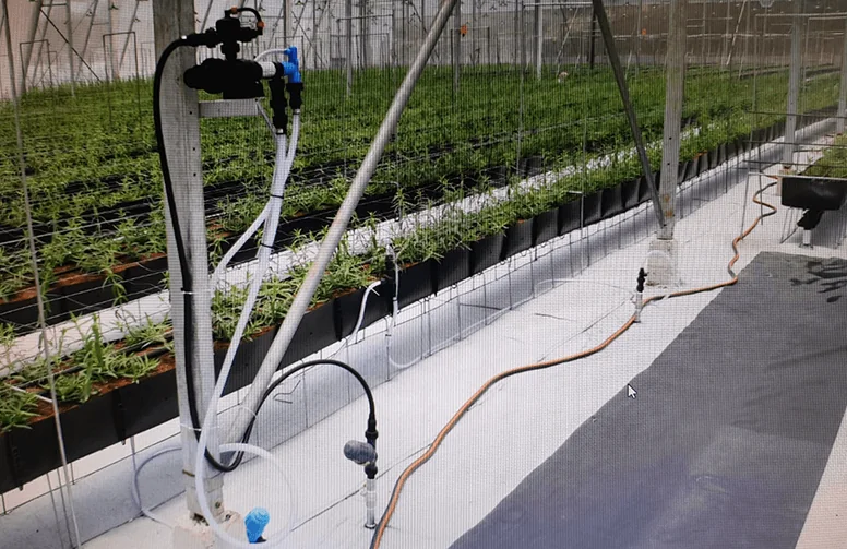 fertilizer pump irrigation