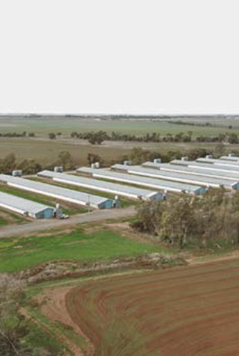 Wasseraufbereitung für Hühnerfarm-Versorgung, Australien