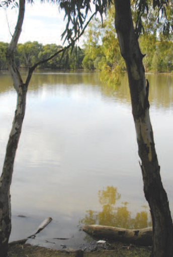 Regenwassernutzung zur Wasserwiederverwendung, Australien
